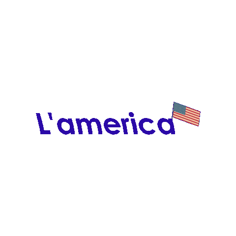 Lamerica Idiomas Sticker