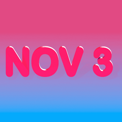 Vote Early Election 2020 GIF by INTO ACTION