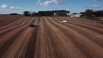 Sementes Cerquinha GIF