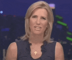 What Are You Talking About Fox News GIF by GIPHY News