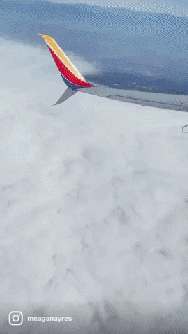 GIF by The Modern Day Wife