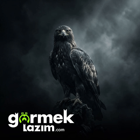 Eagle GIF by diar fabric