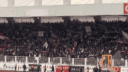 Amedspor GIF