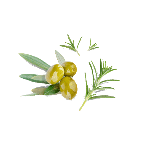 DHC Indonesia Sticker