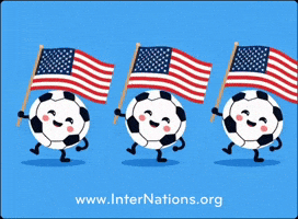 Go Usa GIF by InterNations