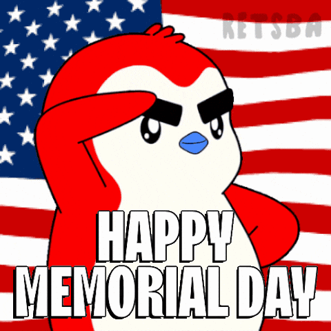 American Flag Usa GIF by Retsba