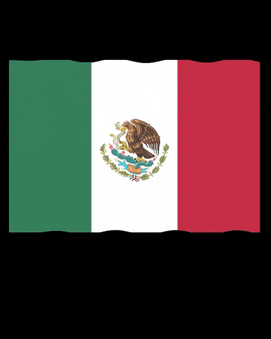 Mexico India GIF by Vanguard University