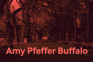 Amy Pfeffer Buffalo GIF