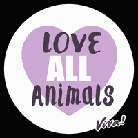 Animal Liberation Vegan GIF by Fundacja Viva!