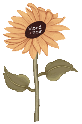 Blond + Noir Sticker
