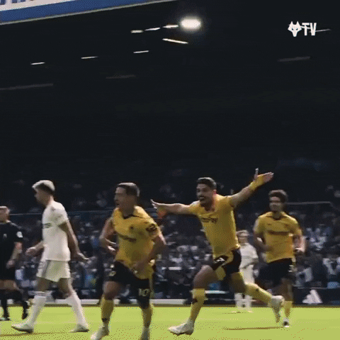 Jumping Up And Down Premier League GIF by Wolves