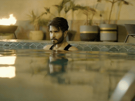 King Yahya GIF