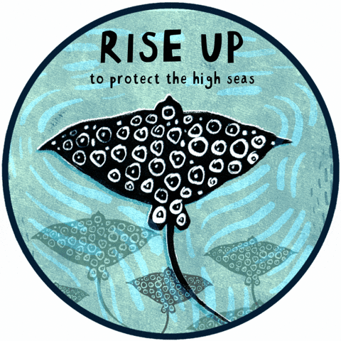 GIF by RISE UP for the Ocean