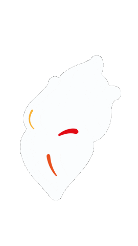 Ratio2030 Sticker by Colegio Seminario