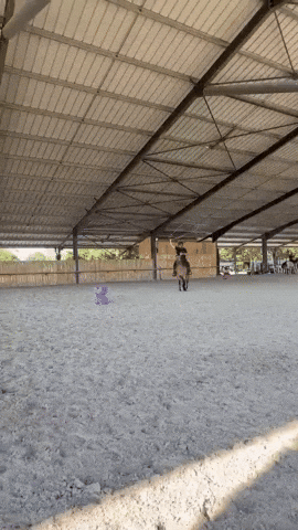 Cowboy Cheval GIF by Morphaius