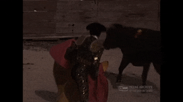 Mexican Independence Day Mexico GIF by Texas Archive of the Moving Image