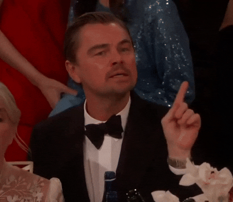 Leonardo Dicaprio Pointing GIF