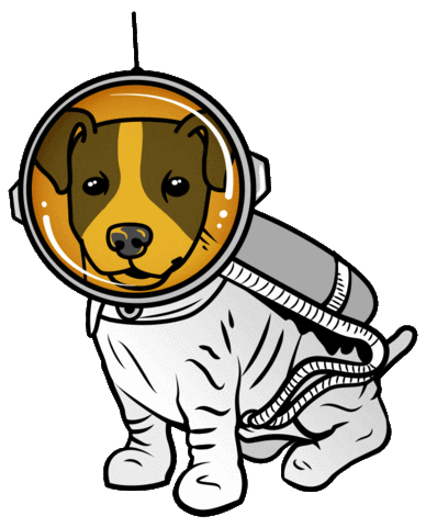 Sebe Boekhouders Sticker
