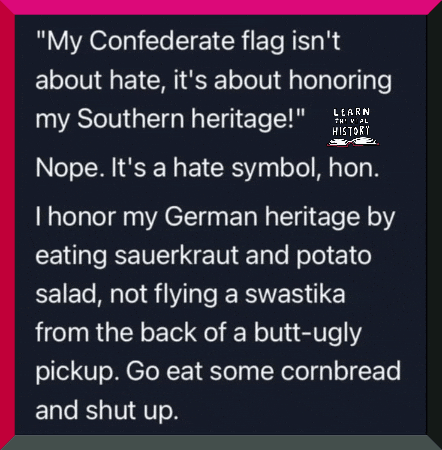 Confederate Flag Truth GIF