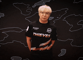 Swag Esports GIF by 100 Thieves
