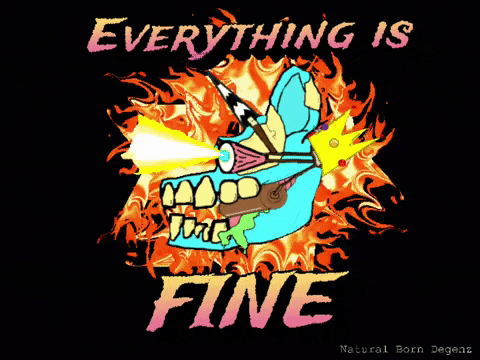 Everything Is Fine Yolo GIF thumbnail