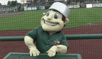 Mascot Lol GIF by Fort Wayne TinCaps