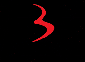 beiderbeck_designs GIF