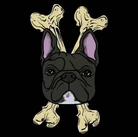 French Bulldog Dog GIF