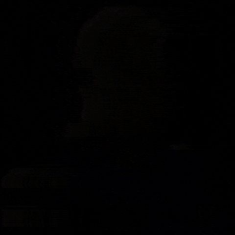 giphy.gif?cid=6c09b952biottoibocdfk0zq88