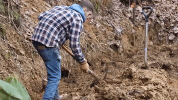 Dirt Work Digging GIF by JC Property Professionals