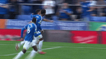 Celebrate Andros Townsend GIF by Everton Football Club