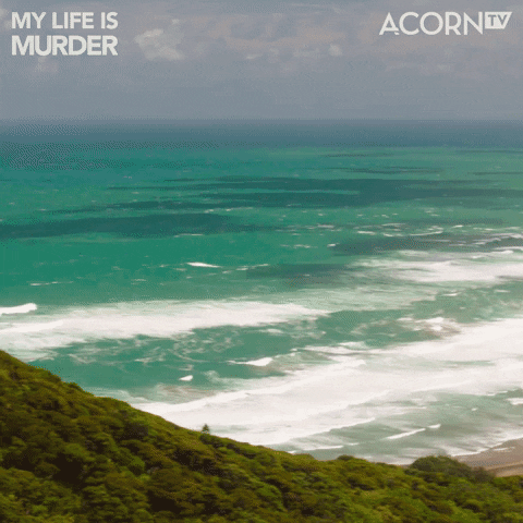 My Life Is Murder Summer GIF by Acorn TV Latin America