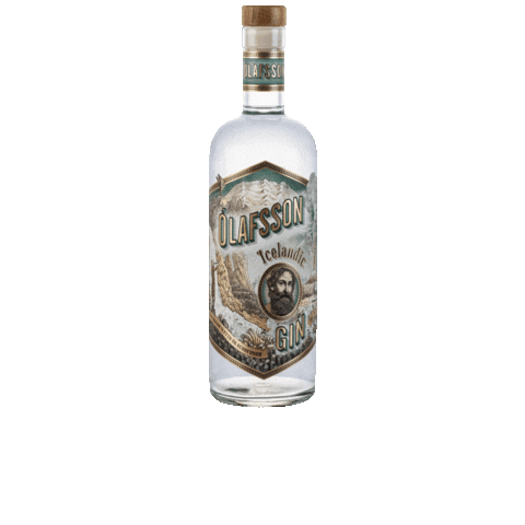 Gin Olafsson Sticker by eylandspirits