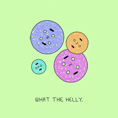 Angry What The Hell GIF