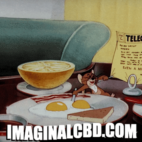 Hungry Good Morning GIF by Imaginal Biotech