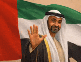 Mbz GIF by santiago country club