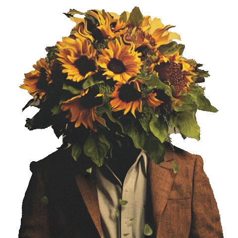 Girasoles Sticker by EMPIRE