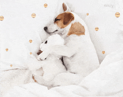 Envy Copper Silk GIF