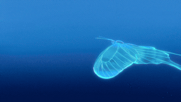 Realize Magical Girl GIF