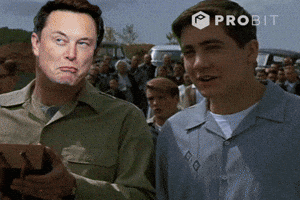 Elon Musk Twitter GIF by ProBit Exchange