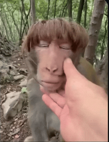 Relaxing Its Okay GIF