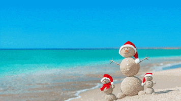 Holiday Vacation GIF by Shandon Travel