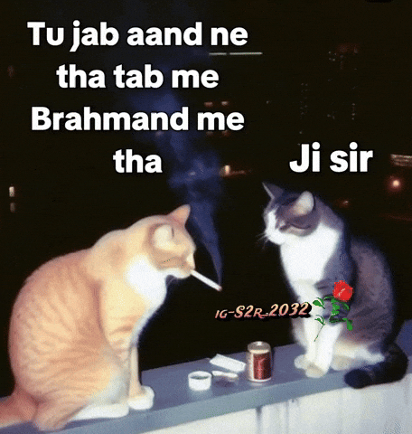 Joke GIF