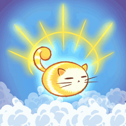 Cat Angel GIF