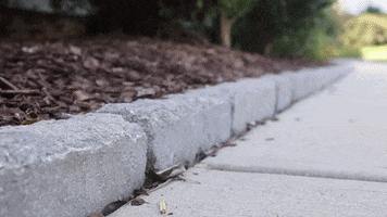 Outdoor Inspirations Via Youtube GIF