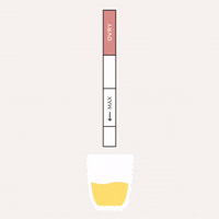 Women Pregnancy Test GIF