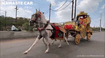 Horse Vehicle GIF by Namaste Car