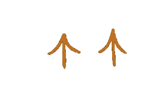 Swipe Up Sticker
