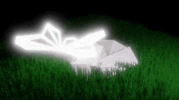 flutttr GIF
