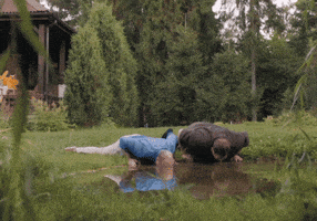 Ивановы Ивановы GIF